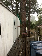 PSJ-Week 3-22, painting in rain